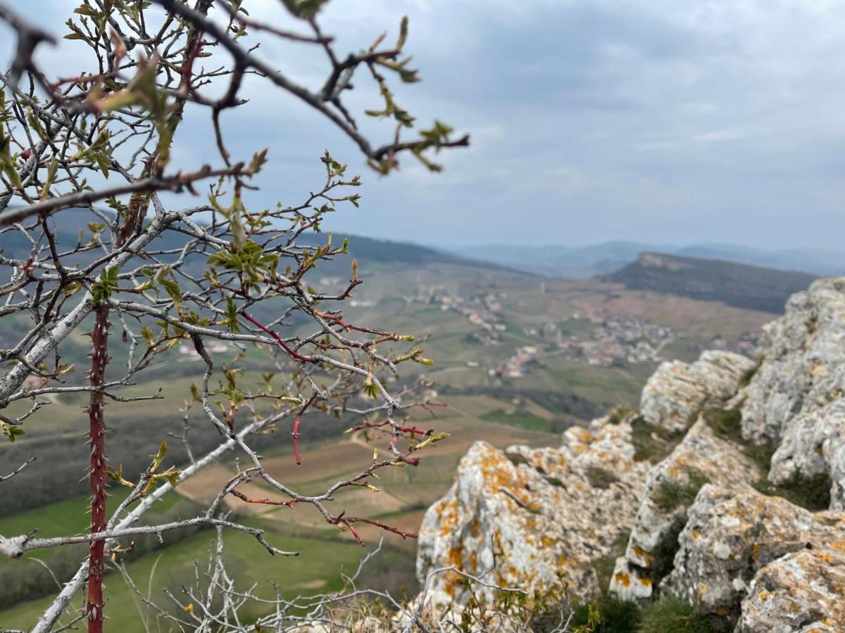 La Tablee Medievale Civrieux-dʼAzergues Buitenkant foto