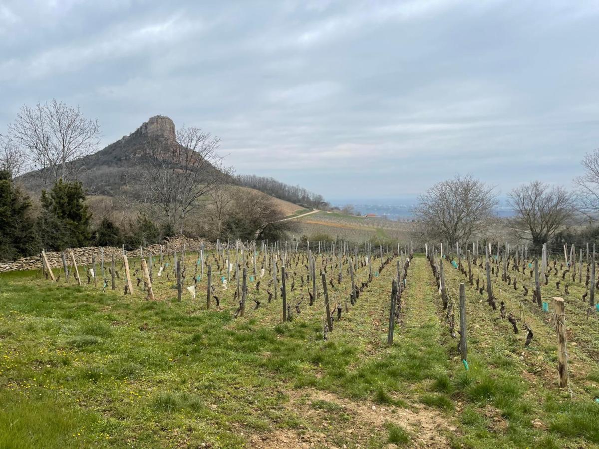 La Tablee Medievale Civrieux-dʼAzergues Buitenkant foto